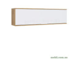 ЗЛАТА Шафа навісна БРВ (ВМК) 1K