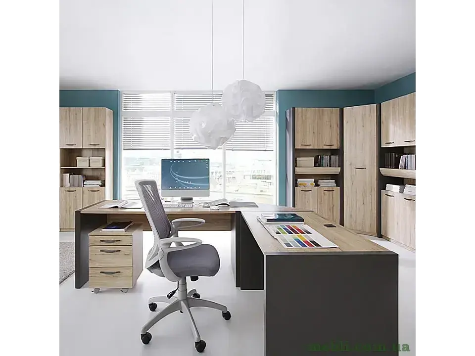 EXECUTIVE Шафа кутовий BRW Польща N1D