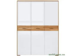 BARI Шафа BRW Польща 3D