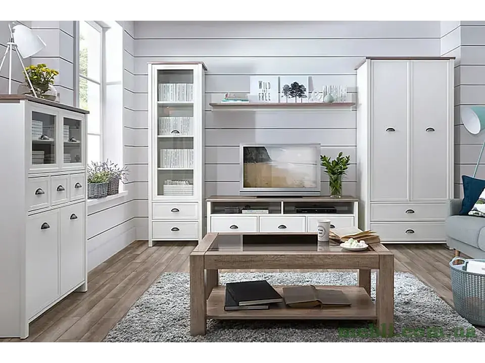 CANNET Шафа BRW Польща 2D2S