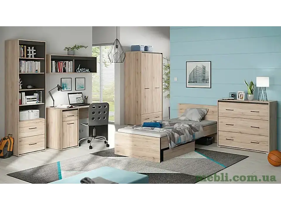 RONSE Шафа BRW Польща 2D1S