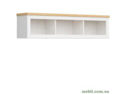 HAGA Полка 150 BRW Польща