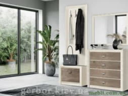 Коен II Передпокій БРВ (ВМК)