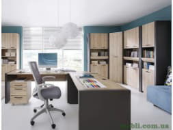 EXECUTIVE Кабінет BRW Польща