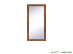 Індіана Дзеркало S50 БРВ (ВМК)