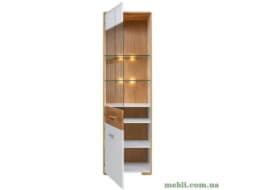 BARI Вітрина ліва 1W1DL BRW Польща