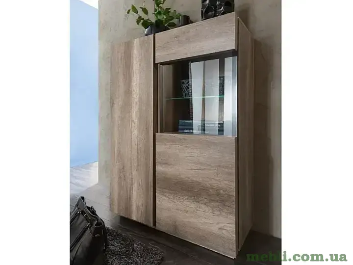 ANTICCA Вітрина 1W1D-100 BRW Польща