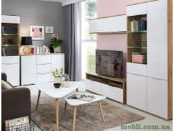 ZELE Вітальня BRW Польща