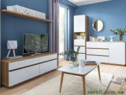 BRAGA Вітальня BRW Польща