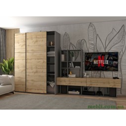 Шафа-купе двохдверна Doros G-Caiser 160х60х240 Графіт/Дуб евок