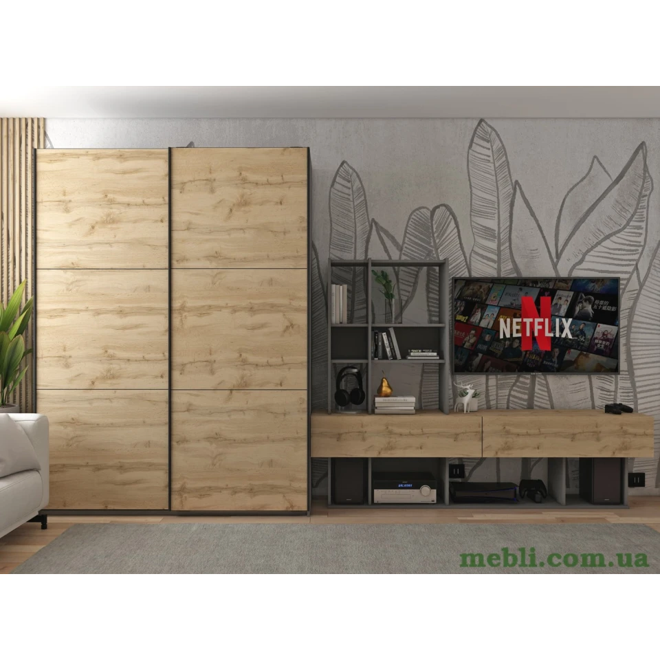 Шафа-купе двохдверна Doros G-Caiser 160х60х240 Графіт/Дуб евок