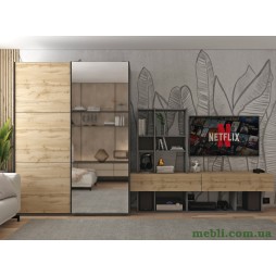 Шафа-купе двохдверна Doros G-Caiser 160х60х240 Графіт/Дуб евок/1 Дзеркало