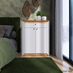 Тумба закрита Еверест Нордік-800 80х38х100 Білий/Дуб крафт золотий