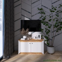 Тумба 2-х дверна закрита Еверест Нордік-980 98х38х53 Білий/Дуб крафт золотий