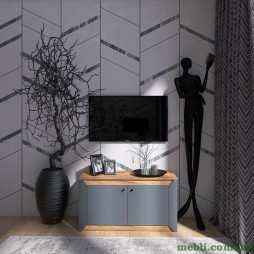 Тумба 2-х дверна закрита Еверест Нордік-980 98х38х53 Графіт/Дуб крафт золотий