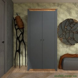 Шафа дводверна Еверест Нордік-990 Графіт/Дуб крафт золотий