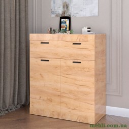 Комод з дверцятами та ящиком Еверест Соната-4 80х38х94 дуб крафт золотий