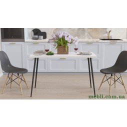 Кухонний стіл Марсель 30 Ferrum-decor 75x120x70 Чорний метал ДСП Білий 32 мм