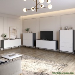 Комплект меблів для вітальні LION Амарант 4 елементи з чорними металевими ніжками Антрацит/Білий