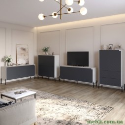 Комплект меблів для вітальні LION Амарант 4 елементи з чорними металевими ніжками Бетон SТyle/Графітовий