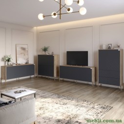 Комплект меблів для вітальні LION Амарант 4 елементи з золотими металевими ніжками Дуб сонома трюфель/Графітовий