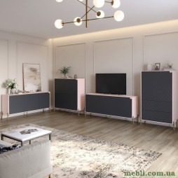 Комплект меблів для вітальні LION Амарант 4 елементи з золотими металевими ніжками Рожевий/Графітовий