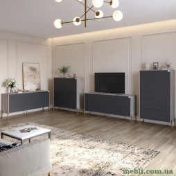 Комплект меблів для вітальні LION Амарант 4 елементи з золотими металевими ніжками Шварцвальд/Графітовий