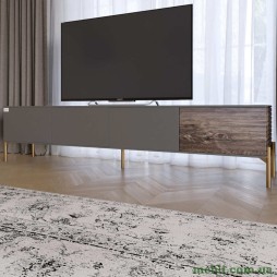 Тумба під телевізор на золотих металевих ніжках LION Грей Антрацит/Дерево