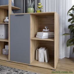 Тумба однодверна LION Краш 82x43x86 Дуб аппалачі/Антрацит