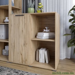 Тумба однодверна LION Краш 82x43x86 Дуб аппалачі