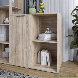 Тумба однодверна LION Краш 82x43x86 Дуб сонома