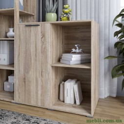 Тумба однодверна LION Краш 82x43x86 Дуб сонома трюфель