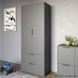 Шафа розпашна дводверна LION Краш з 2 шухлядами Антрацит