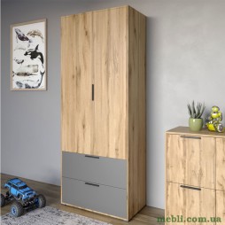 Шафа розпашна дводверна LION Краш з 2 шухлядами Дуб аппалачі/Антрацит