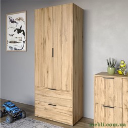 Шафа розпашна дводверна LION Краш з 2 шухлядами Дуб аппалачі