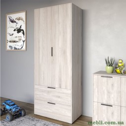 Шафа розпашна дводверна LION Краш з 2 шухлядами Самоа димчастий