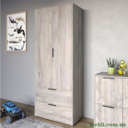 Шафа розпашна дводверна LION Краш з 2 шухлядами Шварцвальд