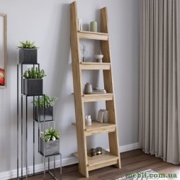 Модуль-4 з полицями LION Лінк Дуб Аппалачі