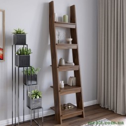 Модуль-4 з полицями LION Лінк Дуб Ліворно