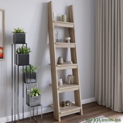 Модуль-4 з полицями LION Лінк Дуб Сонома