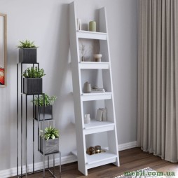 Модуль-4 з полицями LION Лінк Німфея Альба