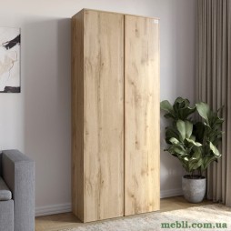 Модуль-3 шафа розпашна дводверна LION Нобу Дуб Аппалачі