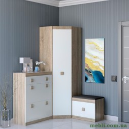 Передпокій Еверест Соната комплект 15 (модульний - 3 елементи) дуб сонома/білий