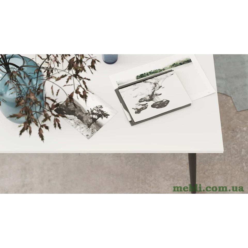 Стіл журнальний Монтана Ferrum-decor 45x100x50 Чорний метал ДСП Білий