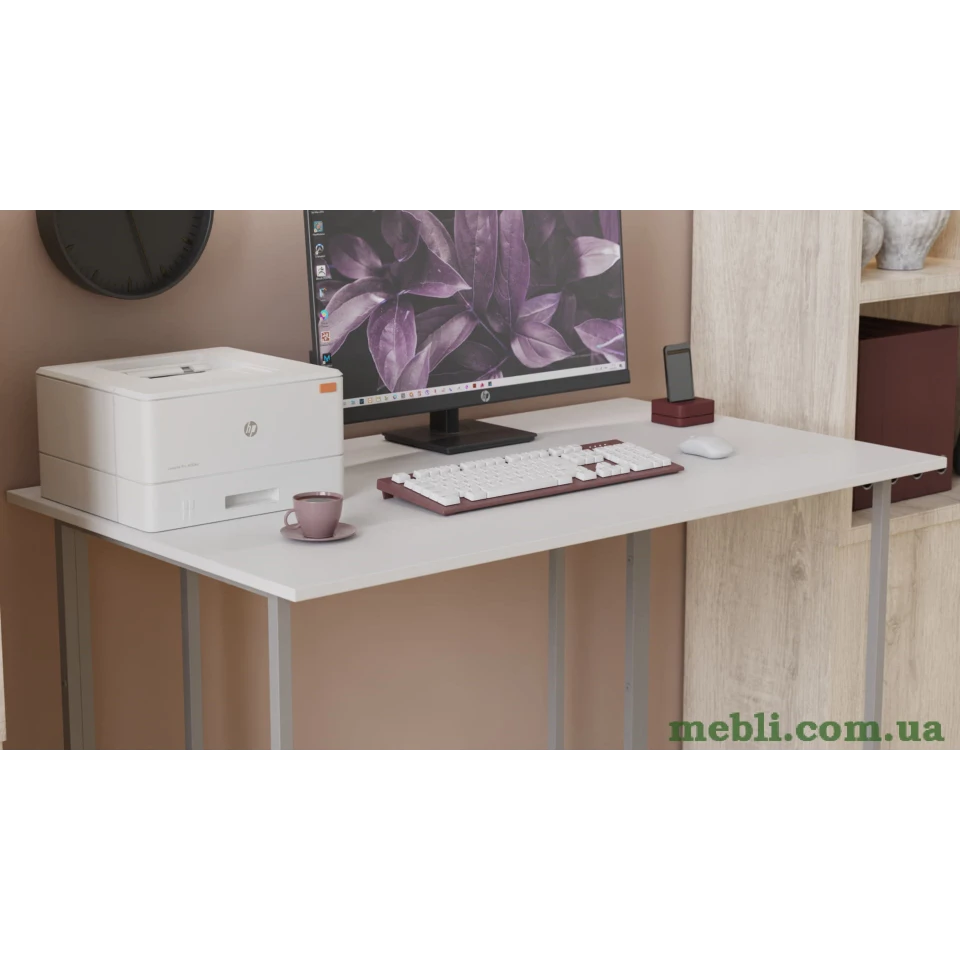 Комп'ютерний стіл Ferrum-decor Ханна 75x100x70 сірий ДСП Білий 16мм